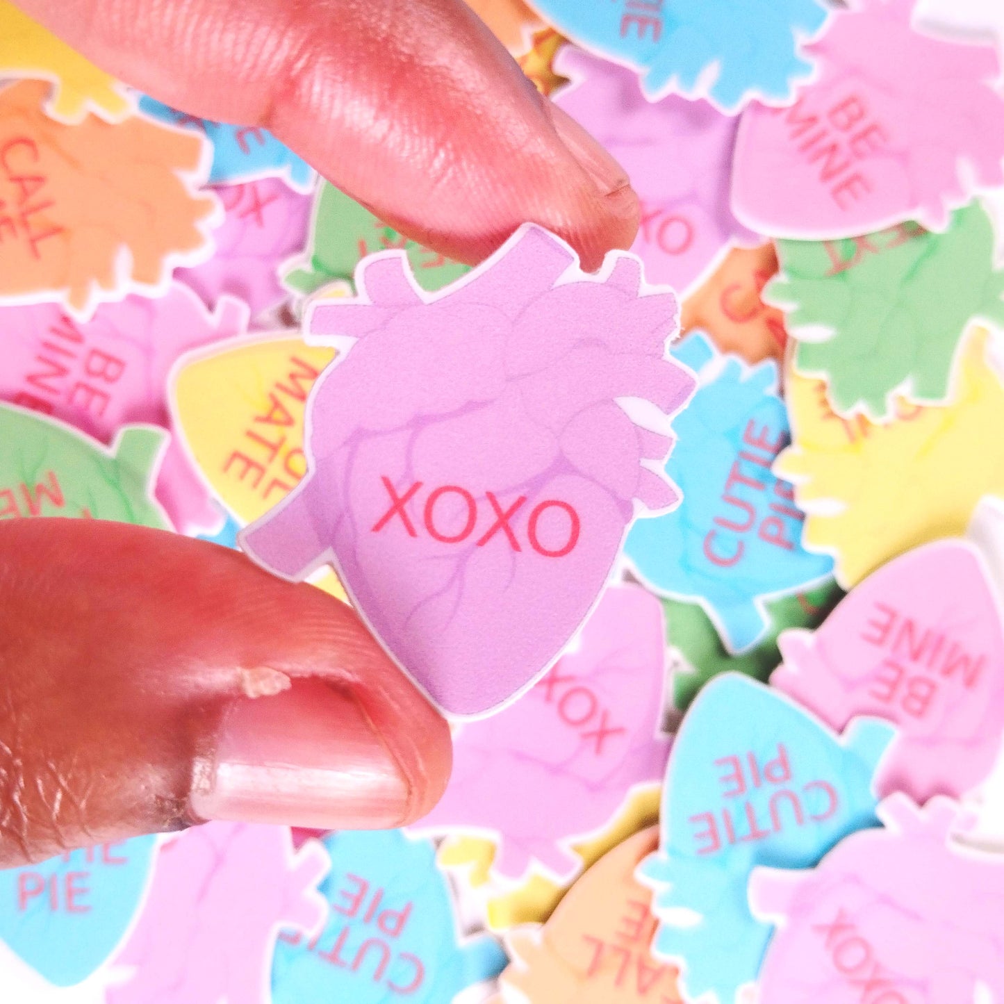 anatomical conversation heart sticker pack